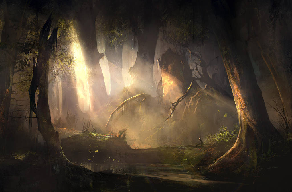 Mysterious Forest Sunset by SergeyZabelin