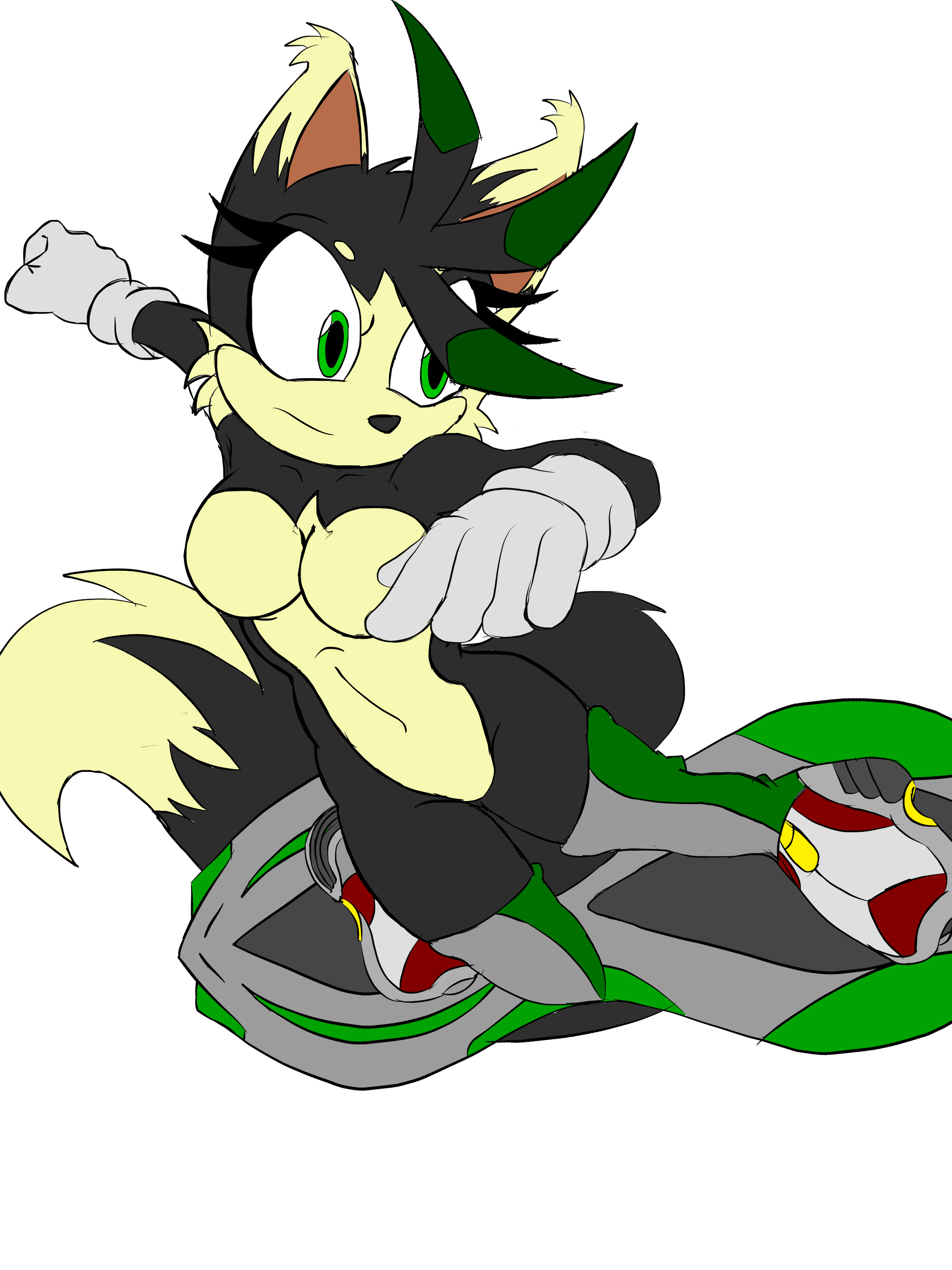 sonic riders pc wont load sonic riders pc wont load