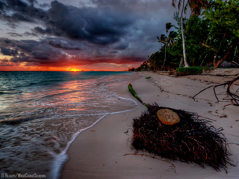 It Died by IvanAndreevich