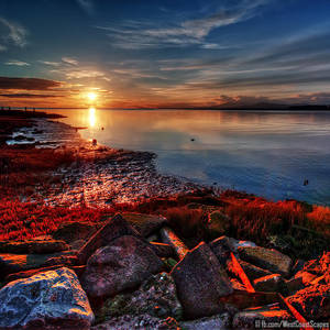 Radiate by IvanAndreevich Radiate by IvanAndreevich