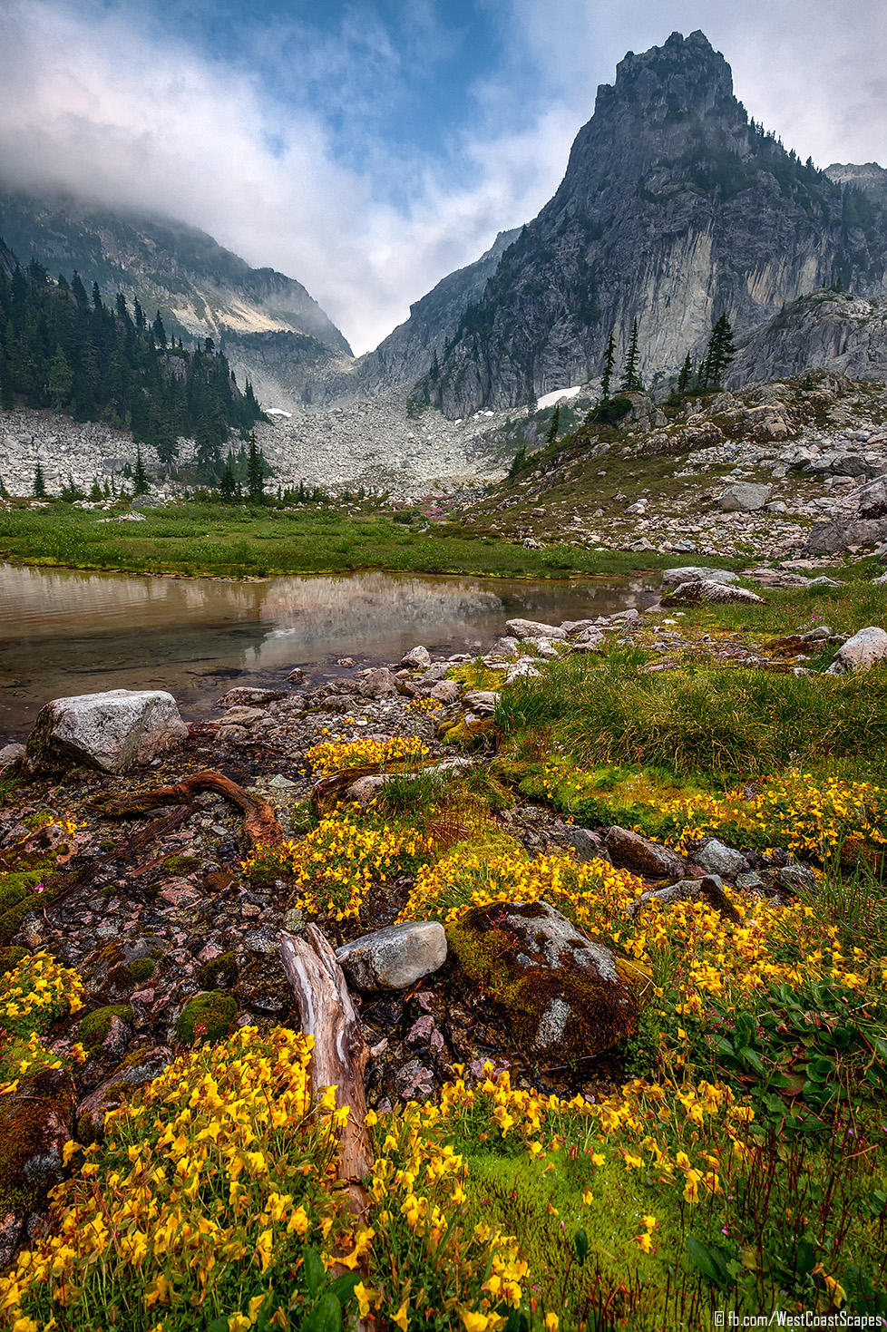 Gold Rush by IvanAndreevich