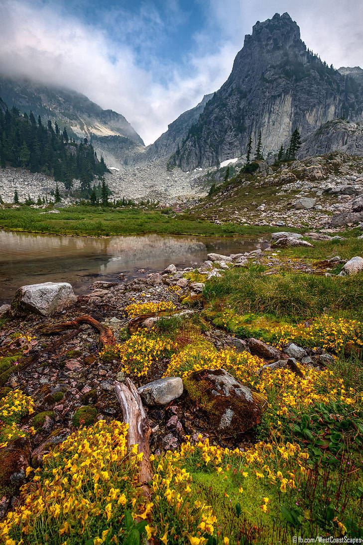 Gold Rush by IvanAndreevich