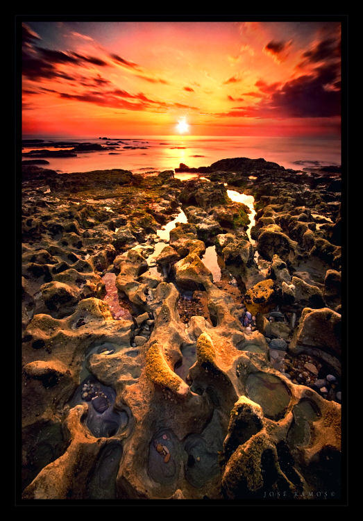 Twilight Footprints by Inebriantia