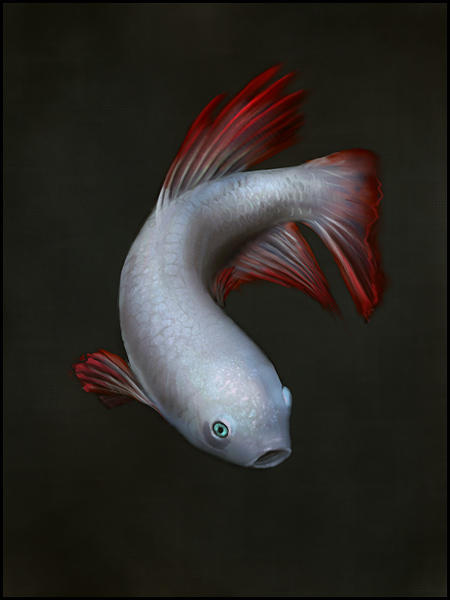 Sketchpaint Fishy Bob by jezebel