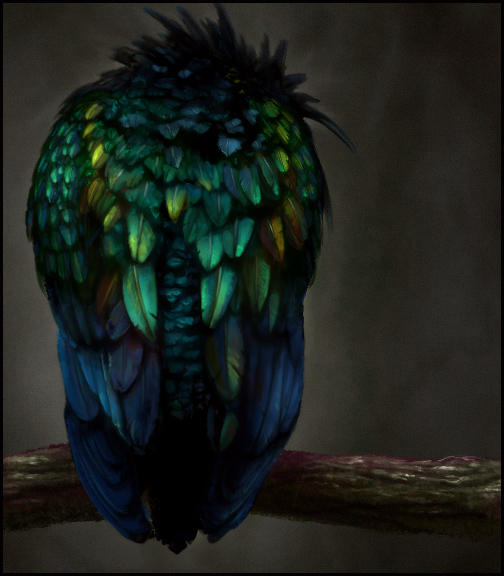 Sketchpaint Bird by jezebel