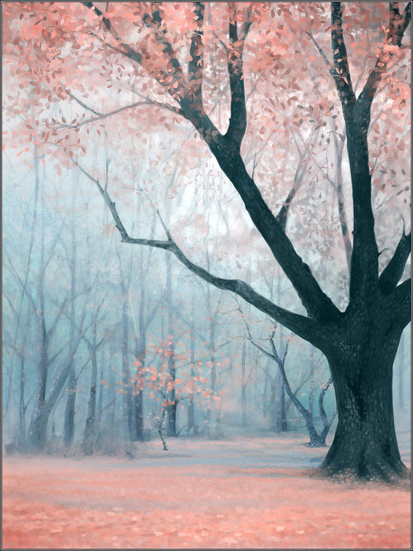 Dreamscape Forest by jezebel