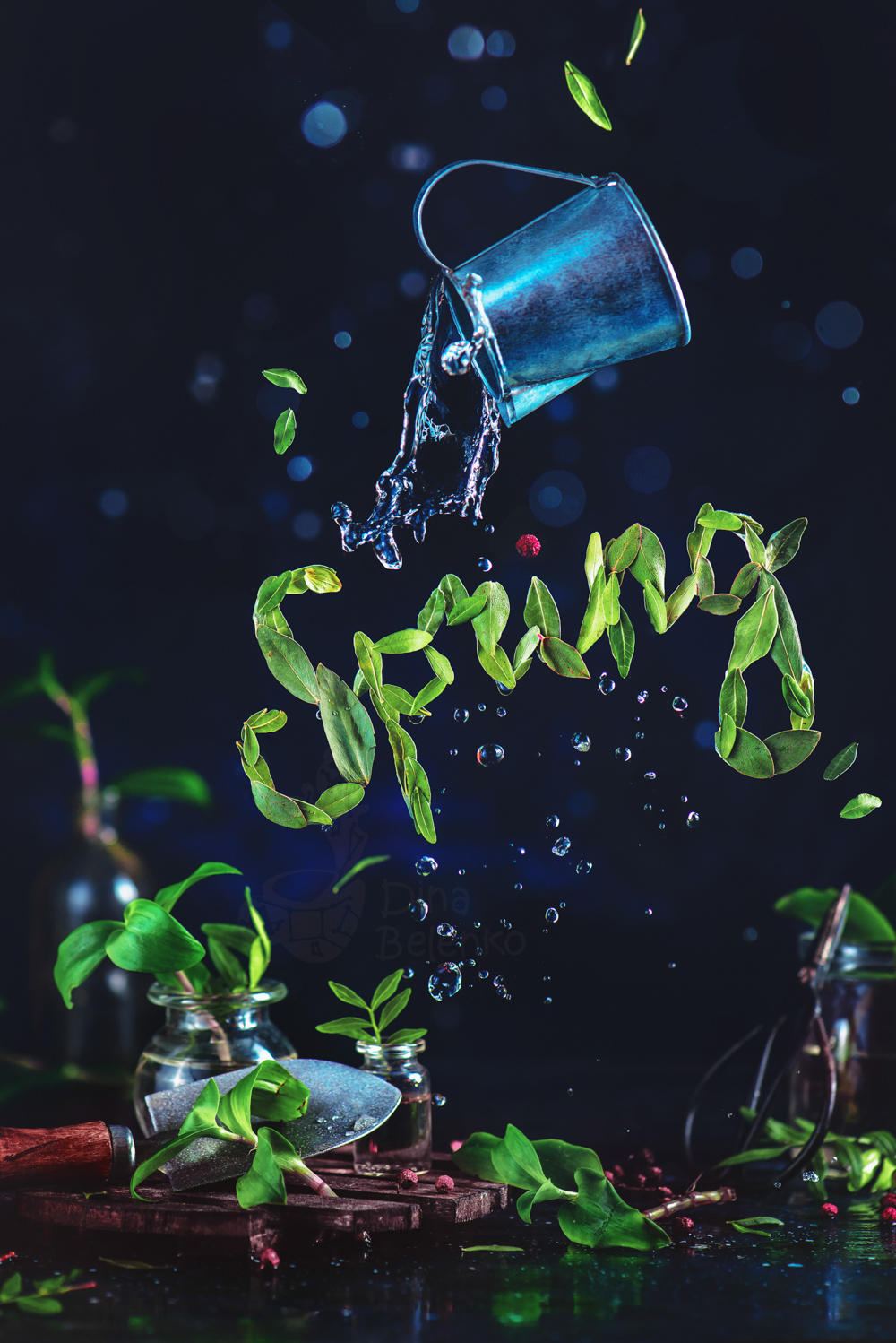 Spring and other words. Part 3 by dinabelenko