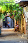 Damascus by Nihadov