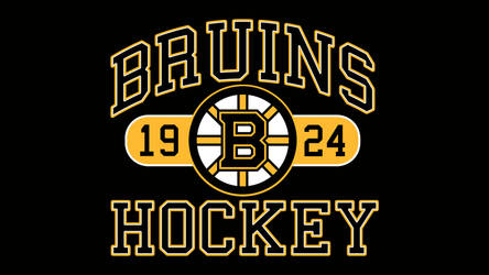 Bruins Hockey by Bruins4Life