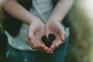 berries by ByLaauraa