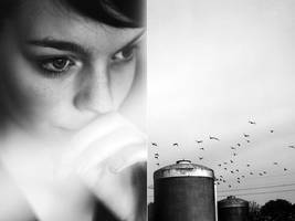 114.365 by ByLaauraa