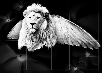 Lion Designs Layout by DarciGibson