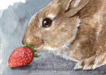 Strawberry Bunny ACEO by Pannya