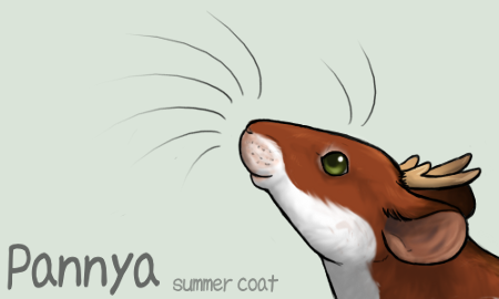 Summer Pannya ID by Pannya