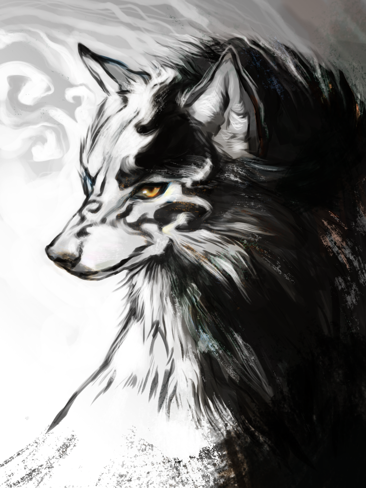 Amadeus by Capukat