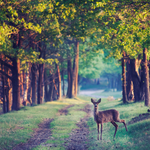 On my way home. by Annarigby