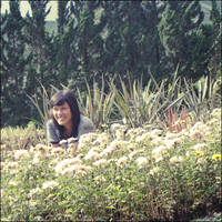 summer by arianneharris