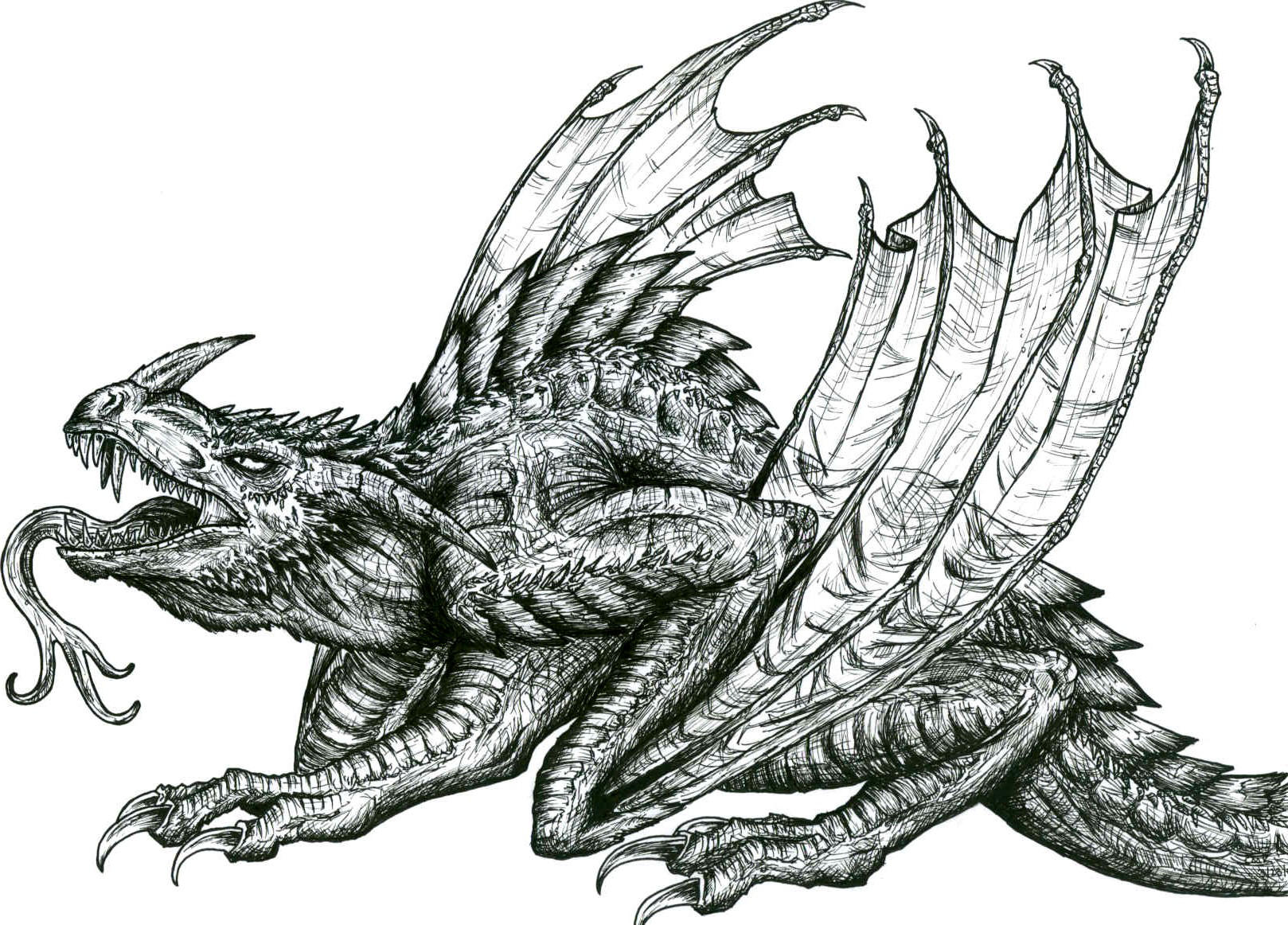 Wyvern by SeaAngel2133