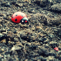 biedroneczka by vanilla-tapes