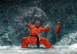 Shaolin w by tonyhurst