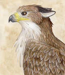 Gryphon Profile by gryphonworks