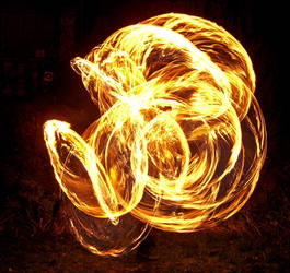 Fire Flower by MD-Arts