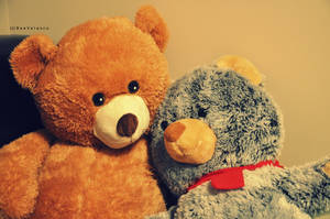 Bear Love by beeyoungkuh