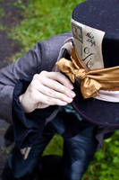 mad as a hatter by bypolar-bear