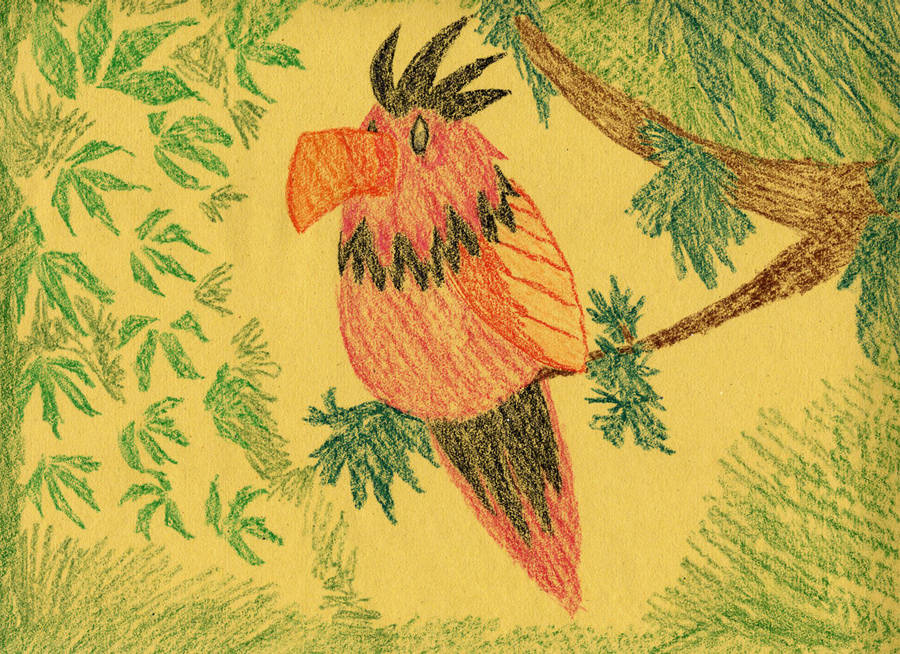 tropical crayon bird by Talec