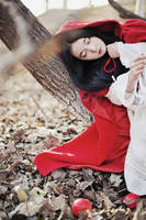 Little Red by hybridre