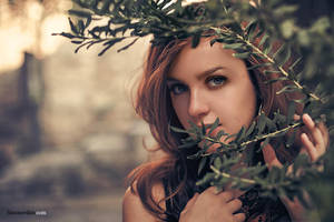 Hide and Seek by simonovikis