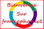 Bienvenue sur francophone1 by Z-image