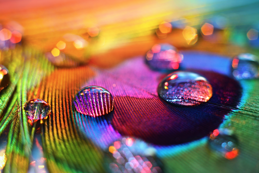 Rainbow Colors by Rustmouth