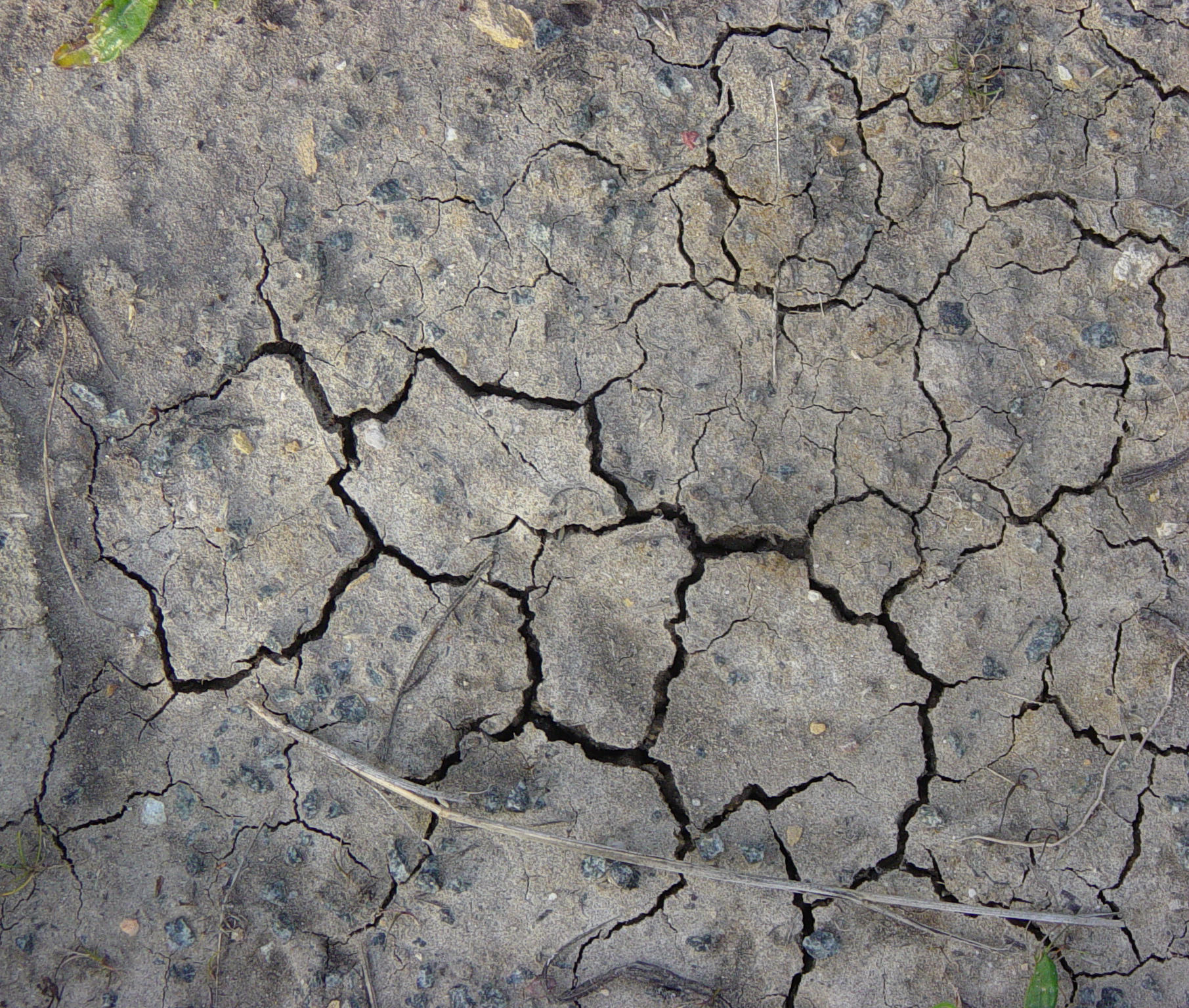 Crack by ashzstock