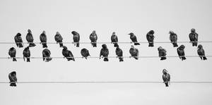 9.semphony by metindemiralay