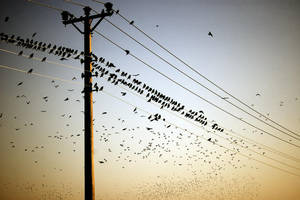 all by metindemiralay