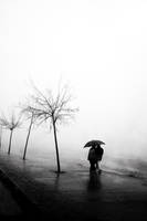 fog by metindemiralay