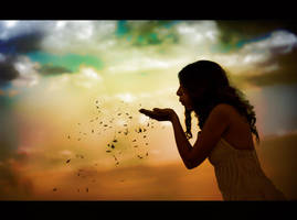 AA 44 by metindemiralay