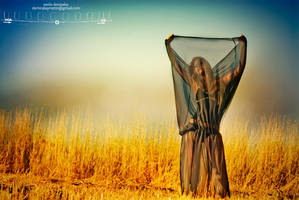 kx 40 by metindemiralay