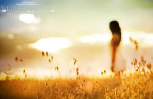 kx154 by metindemiralay