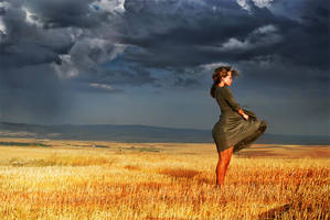 ww44 by metindemiralay