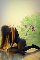 Mdp 0211 by metindemiralay