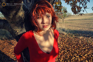 20091121 2719 by metindemiralay