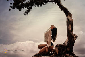 Aa1 0015-2 by metindemiralay