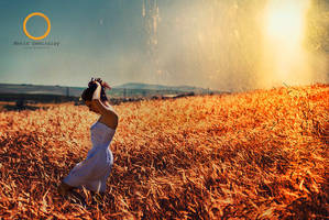 Qmm0201 by metindemiralay