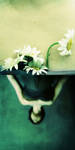 le vase by partiallyHere