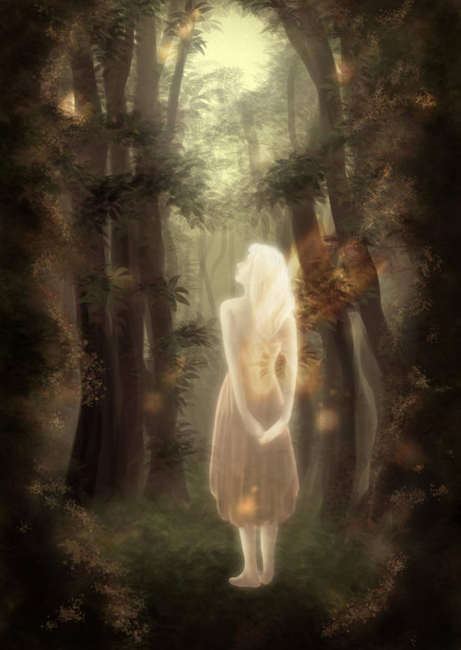 Lumine Fae by charligal