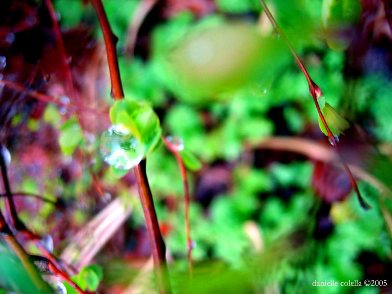 Breathing life by Moonbeam13
