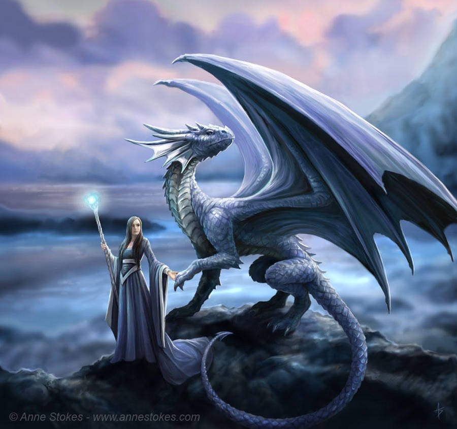 The way by Ironshod