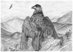 Eagle of the Highlands by PhilipHarvey